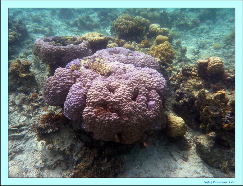 209   07   Sibuan 17